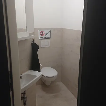 3-bettzimmer Mit Gemeinschaftskueche Und Je 2 Duschraeumen Und 2 Toiletten בית הארחה הוהנשטיין-ארנסתל